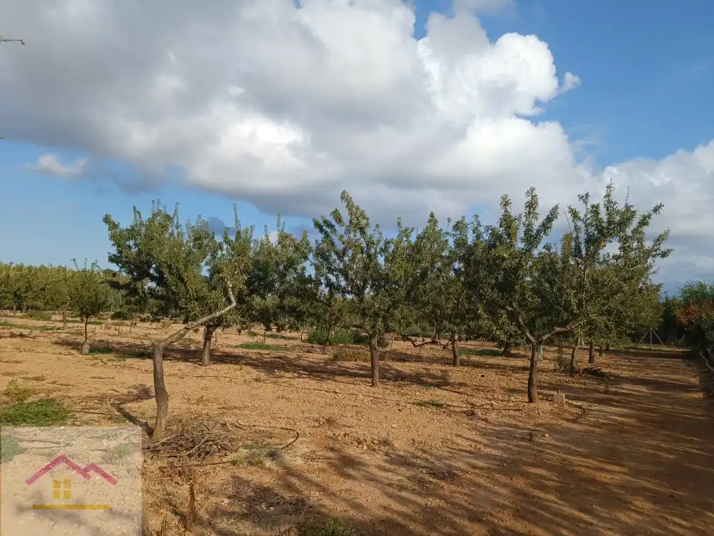 Finca rústica en venda a Calle Oropesa, 14, Torreblanca