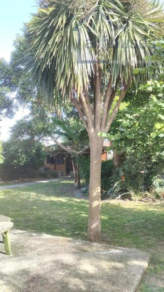 Xalet amb jardí en venda a A Guarda, imagen 21