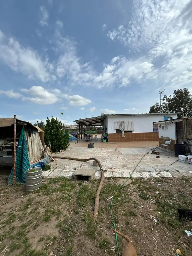 Vista exterior de Finca rústica en venta en Utrera