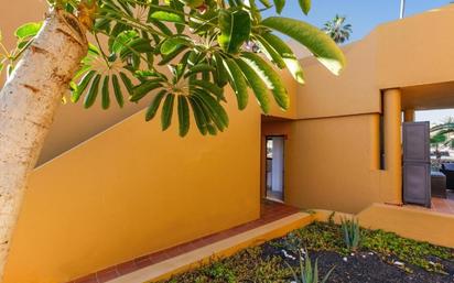 Vista exterior de Apartament en venda en La Oliva amb Terrassa i Piscina comunitària