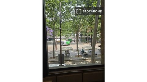 Foto 4 de Habitació a El Raval, Barcelona Capital