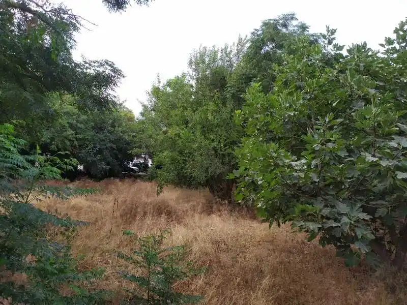 Lands and plots for sale in Carril Torre Ibañez 30, imagen 3