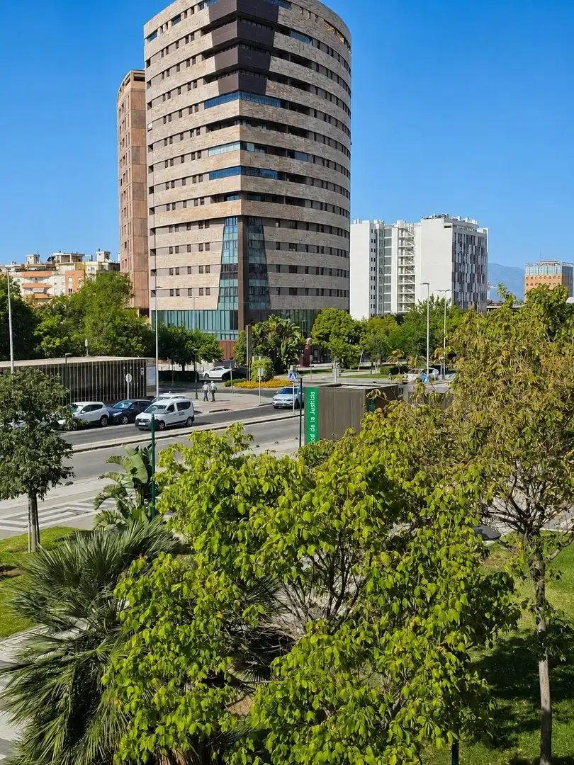 Vista exterior de Piso en venta en Málaga con Aire acondicionado, Jardín privado y Terraza
