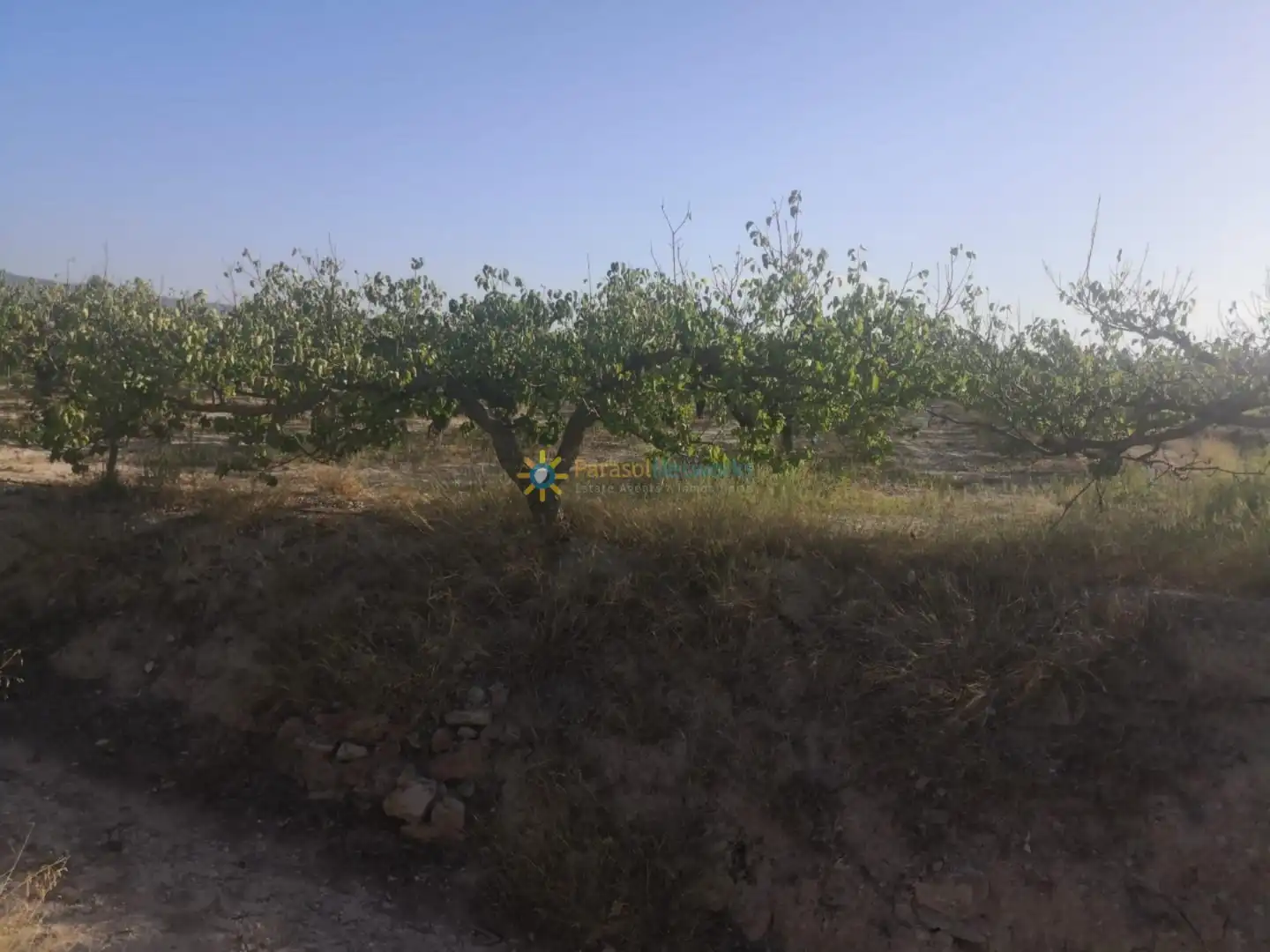 Finca rústica en venta en Albaida con Jardín privado y Trastero