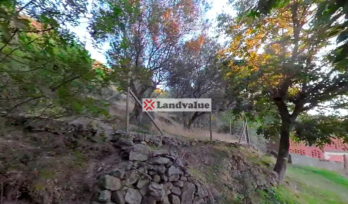 Terreni e lotti in vendita a Candeleda, imagen 5