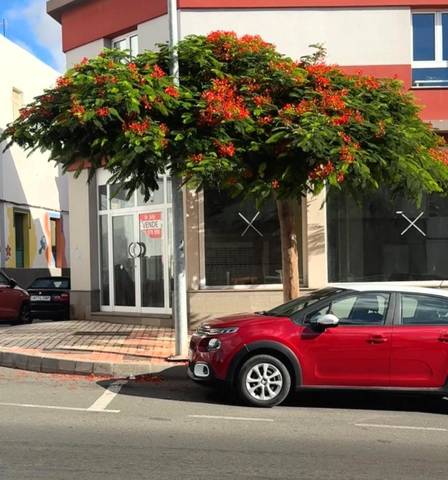Local comercial en Alquiler en Avenida de la República Argentina, 92 en Carrizal