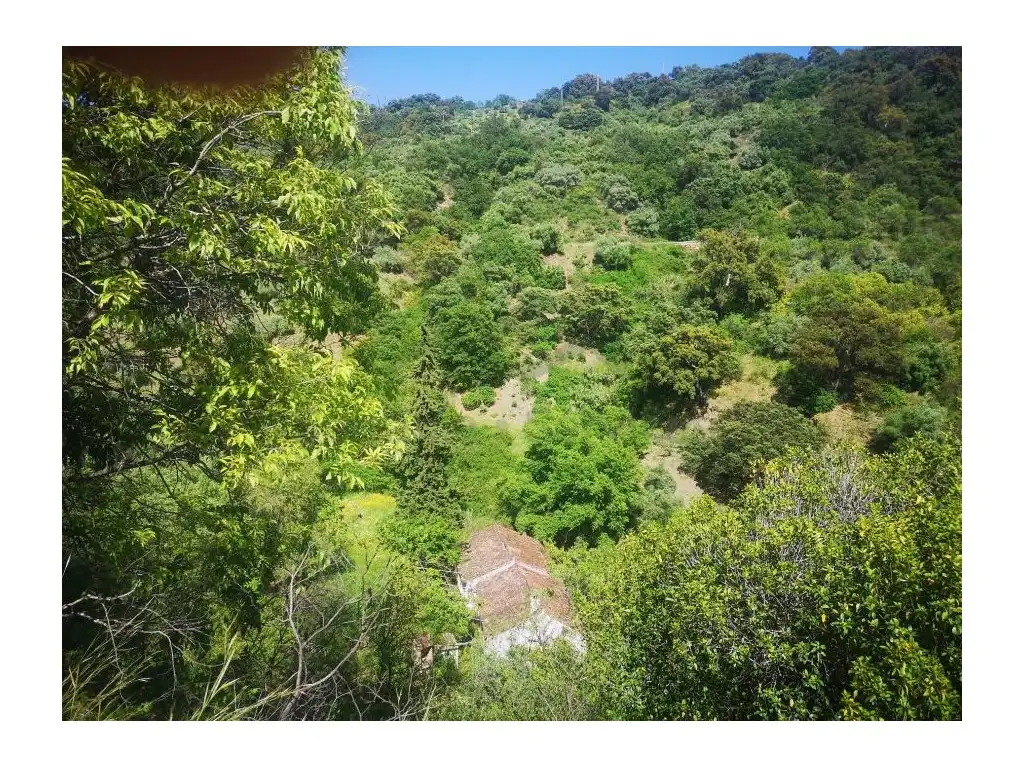 Finca rústica en venda en Jubrique