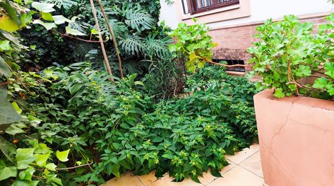 Foto 5 de Casa o xalet en venda a Vista Azul - Consolación, Dos Hermanas