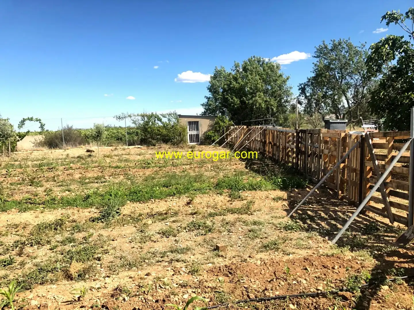 Casa o chalet en venta en Chiva con Piscina