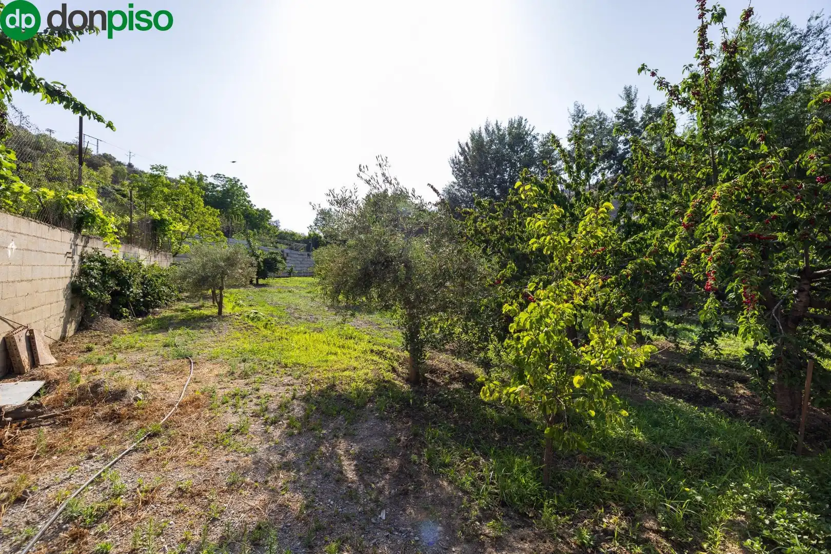 Terreno en venta en Paseo Paseo Duquesa, Pinos Genil