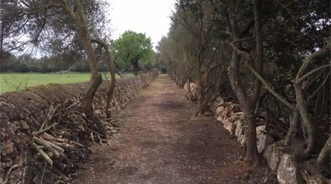 Foto 2 de Finca rústica en venda a Camí de Sa Tortuga, Felanitx Poble, Felanitx