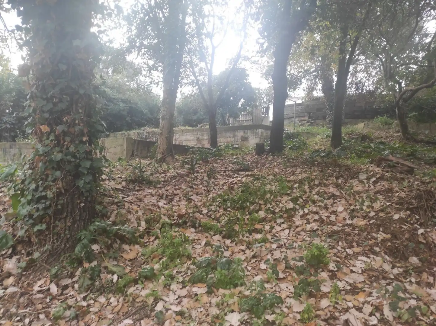 Residencial en venta en Riells i Viabrea