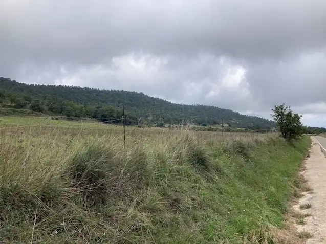 Terrain rustique à vendre à Passeig de la Mussara, imagen 12