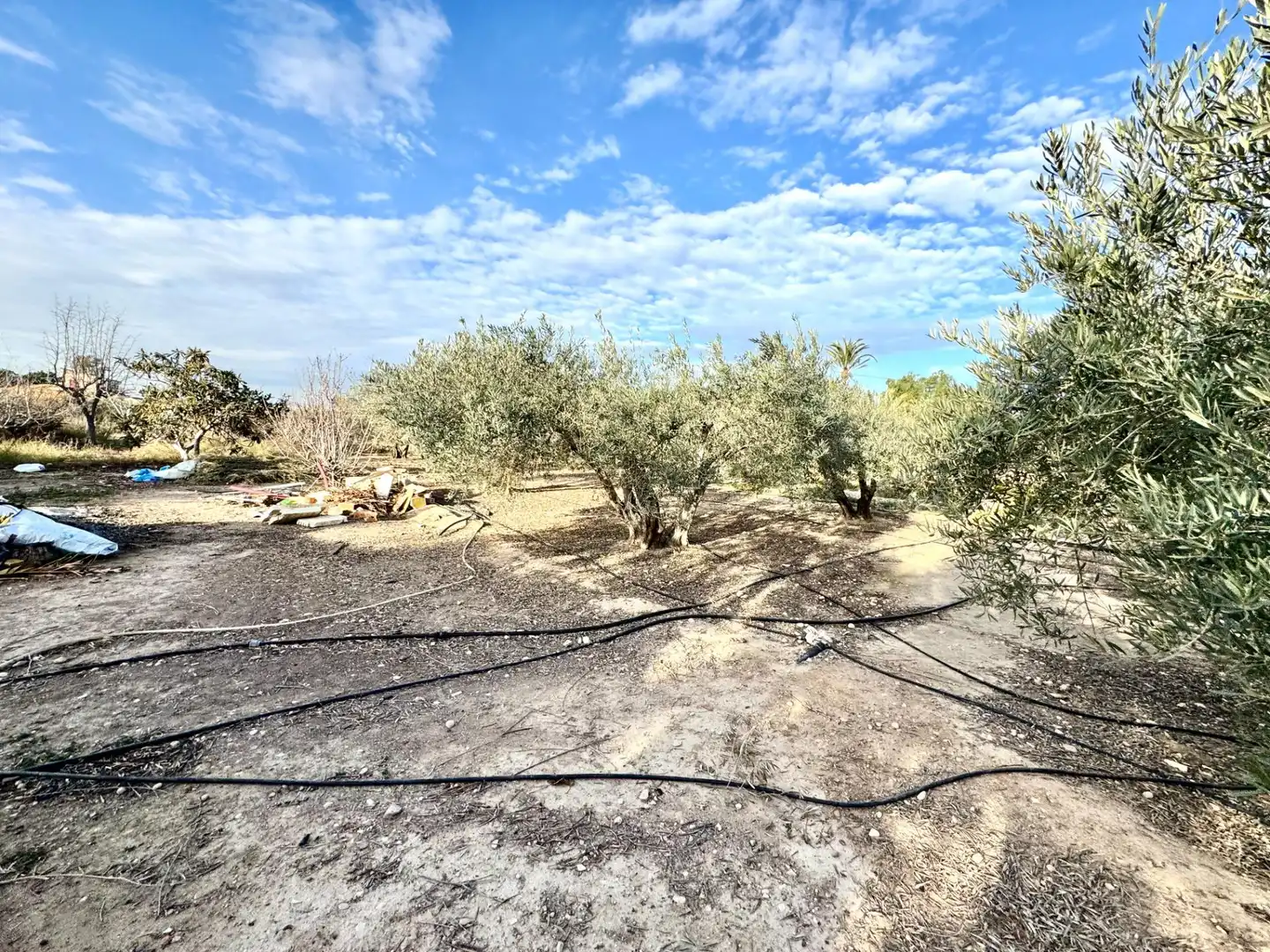 Villa avec jardin à vendre à Las Bayas, imagen 16