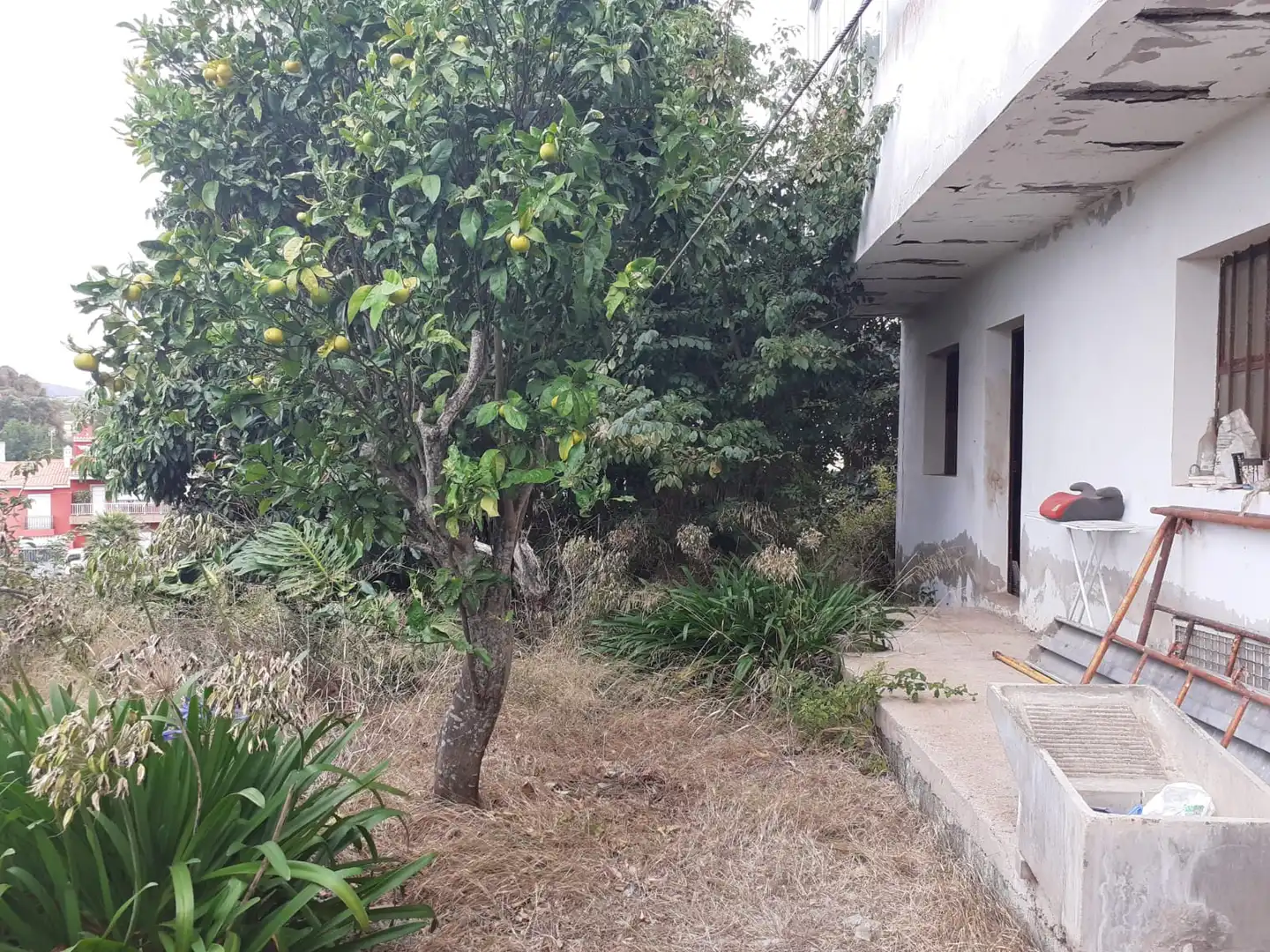 Gewerbefläche zum Verkauf in Tacoronte - Los Naranjeros, imagen 71