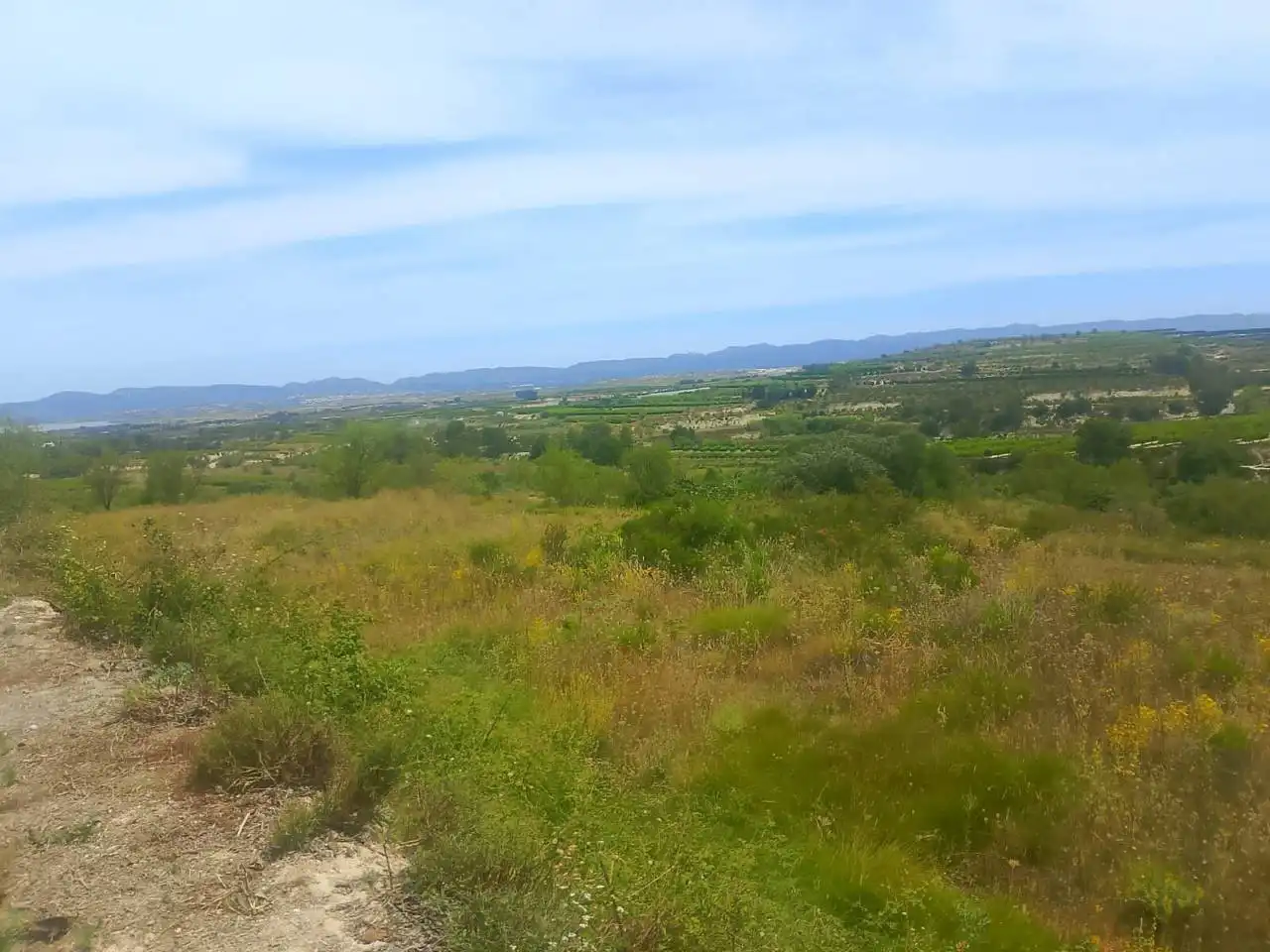 Land for sale in Bélgida