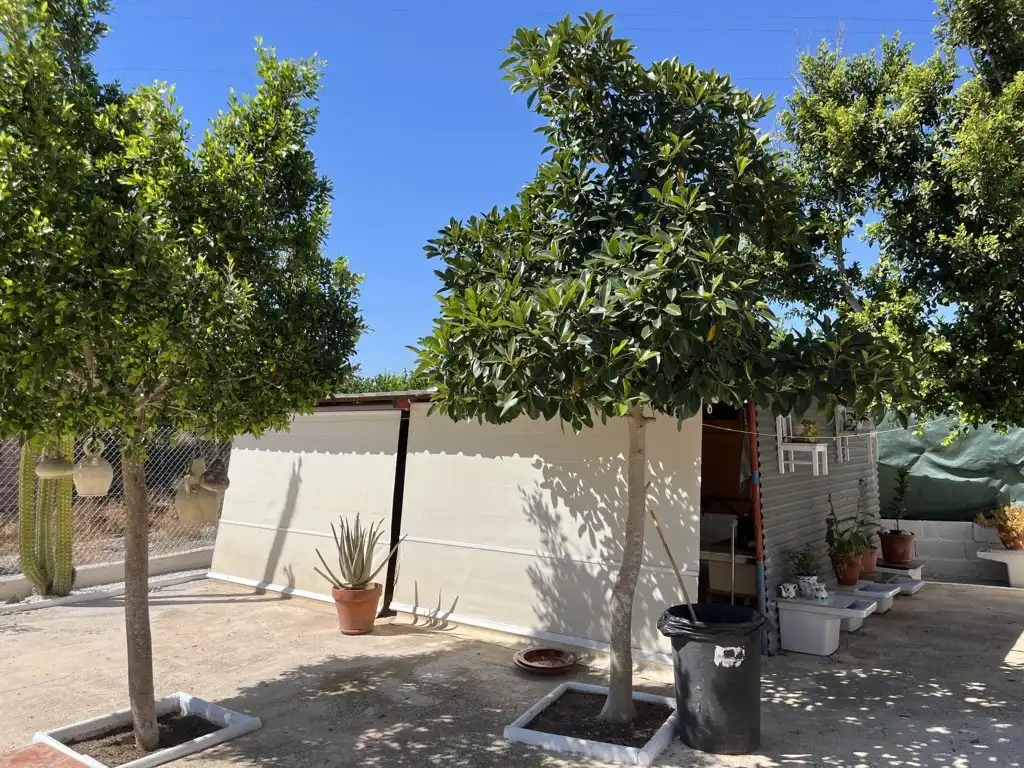 Casa amb piscina en venda a Fortuna, imagen 7