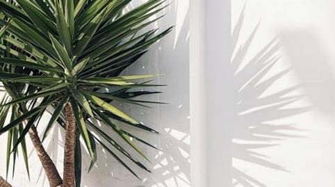 Foto 3 de Finca rústica de lloguer a Camí del Caminot, La Punta,  Valencia Capital