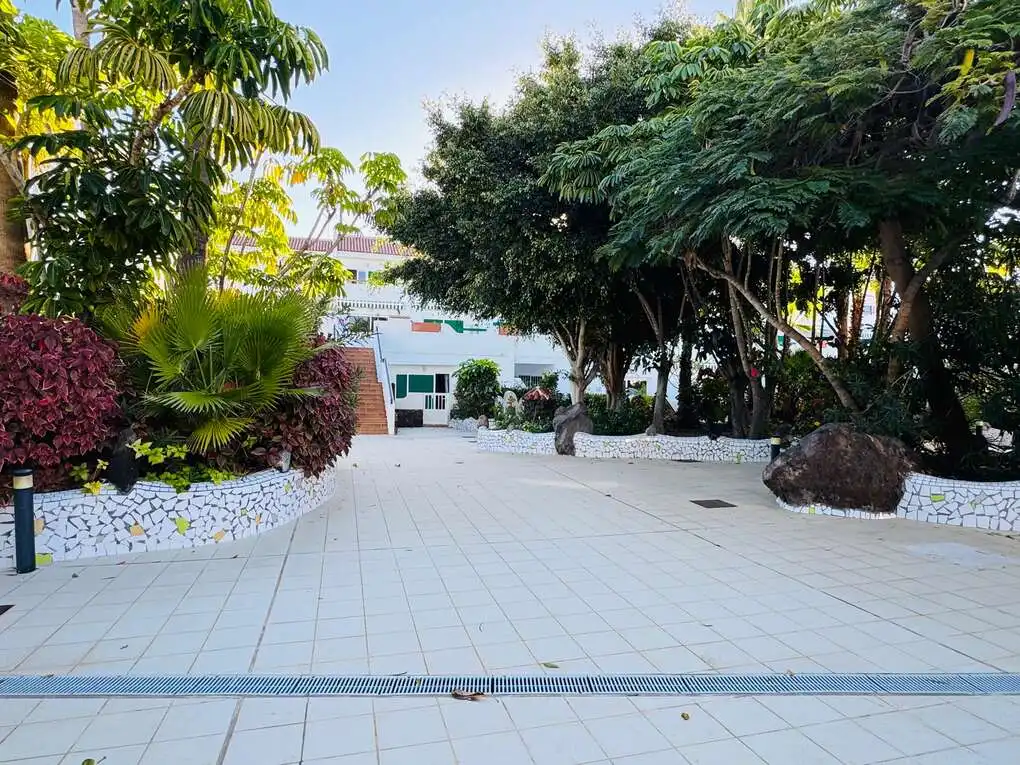 Terrace of Apartments for rent in Arona
