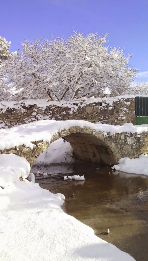 Exterior view of House or chalet for sale in Villadiego  with Private garden and Storage room