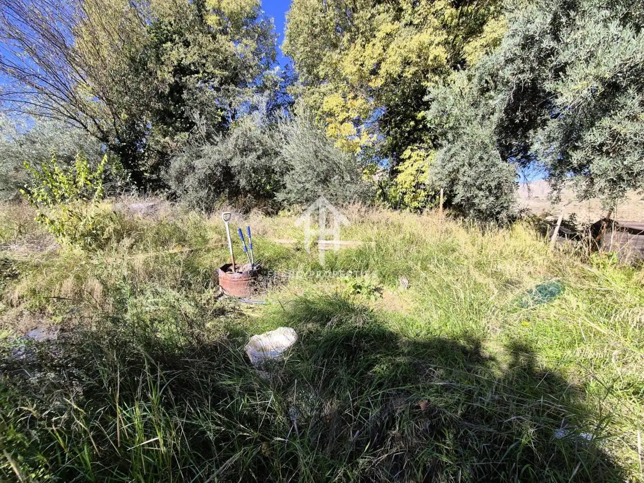 Land for sale in Loja