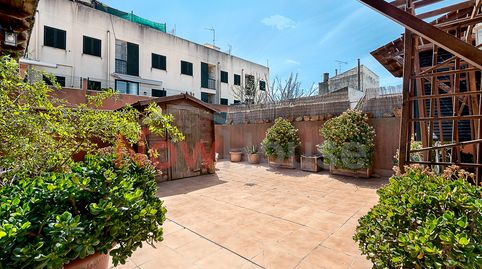 Photo 5 of Flat for sale in Carrer de Carbó, Campos poble, Campos