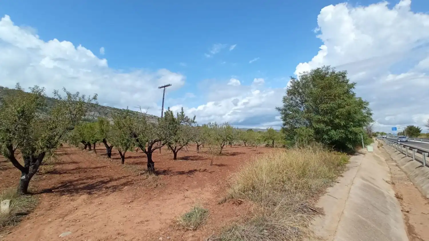 Finca rústica en venta en Oropesa del Mar / Orpesa