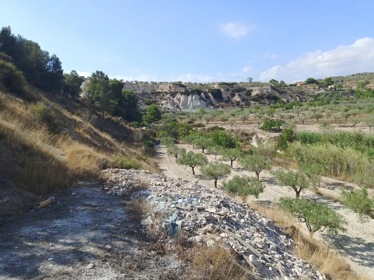 Terreno rustico in vendita a N/A, imagen 134