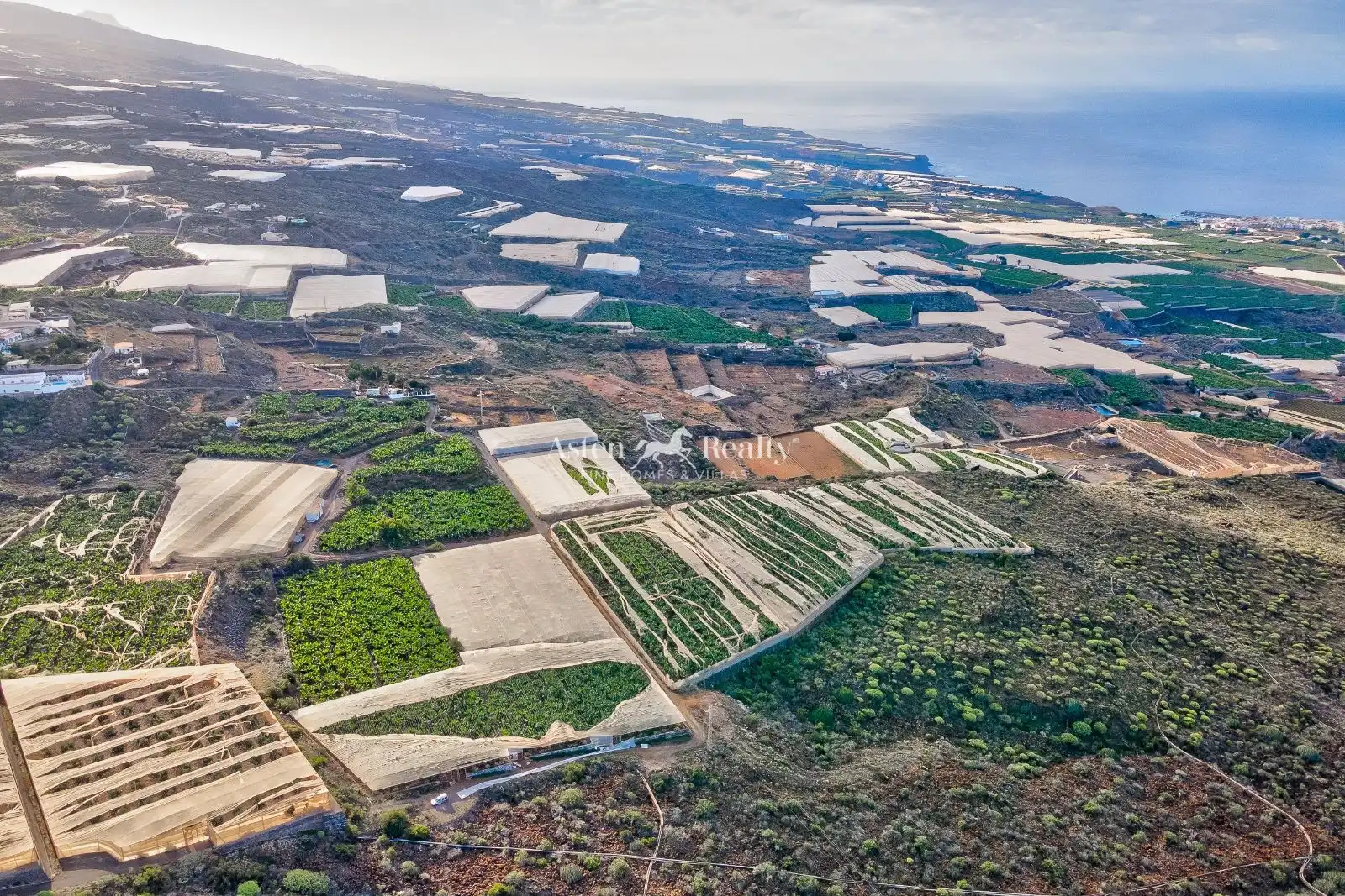 Terreny rústic en venda a Finca El Morenero, imagen 17
