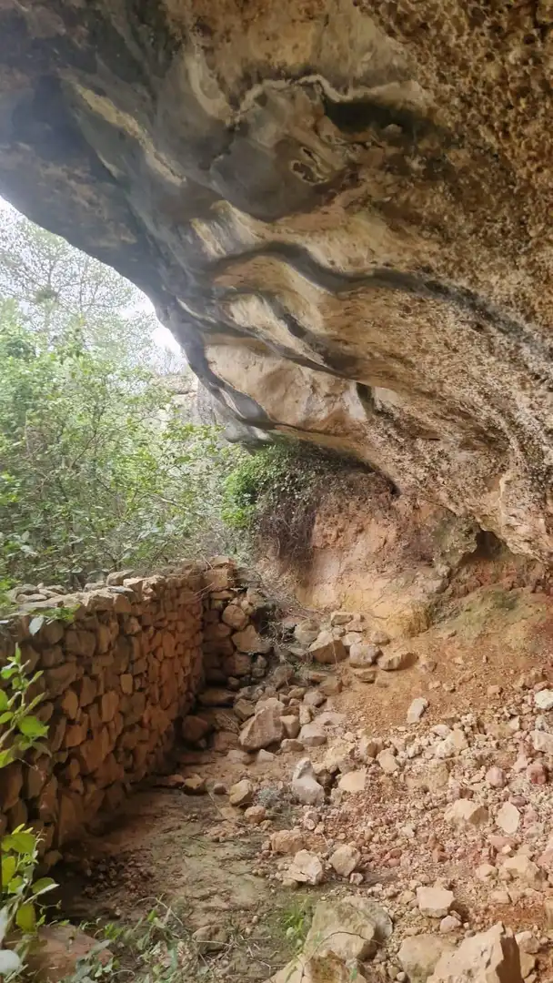 Terrain rustique à vendre à Vinebre, imagen 23