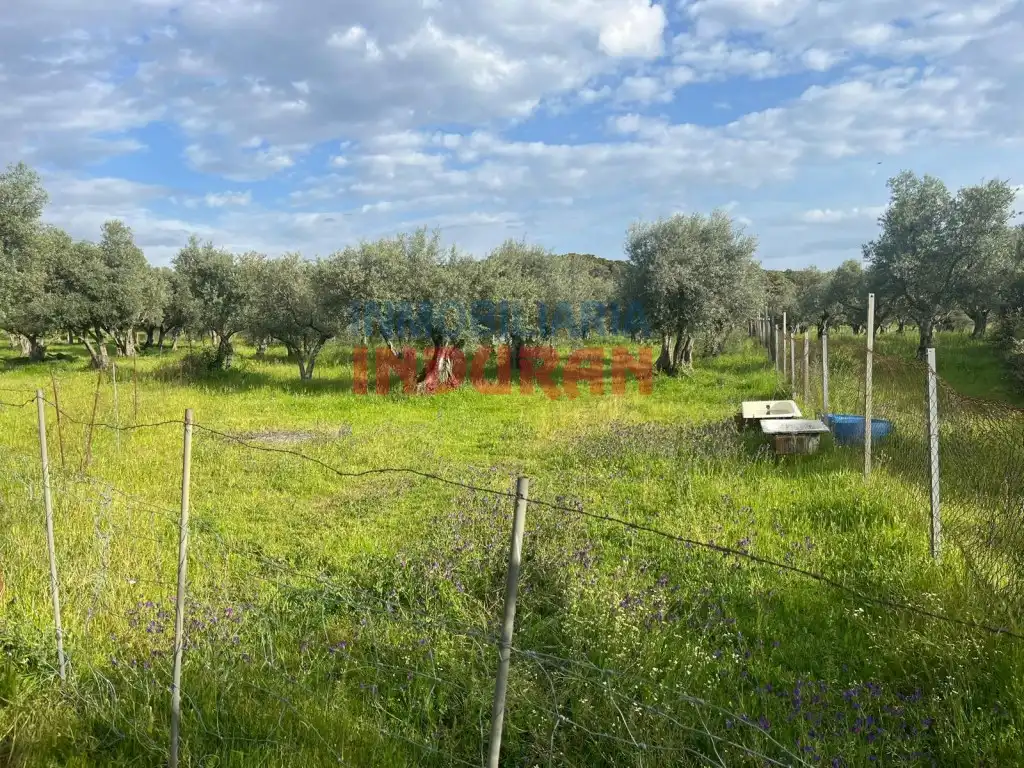 Finca rústica en venta en Millanes