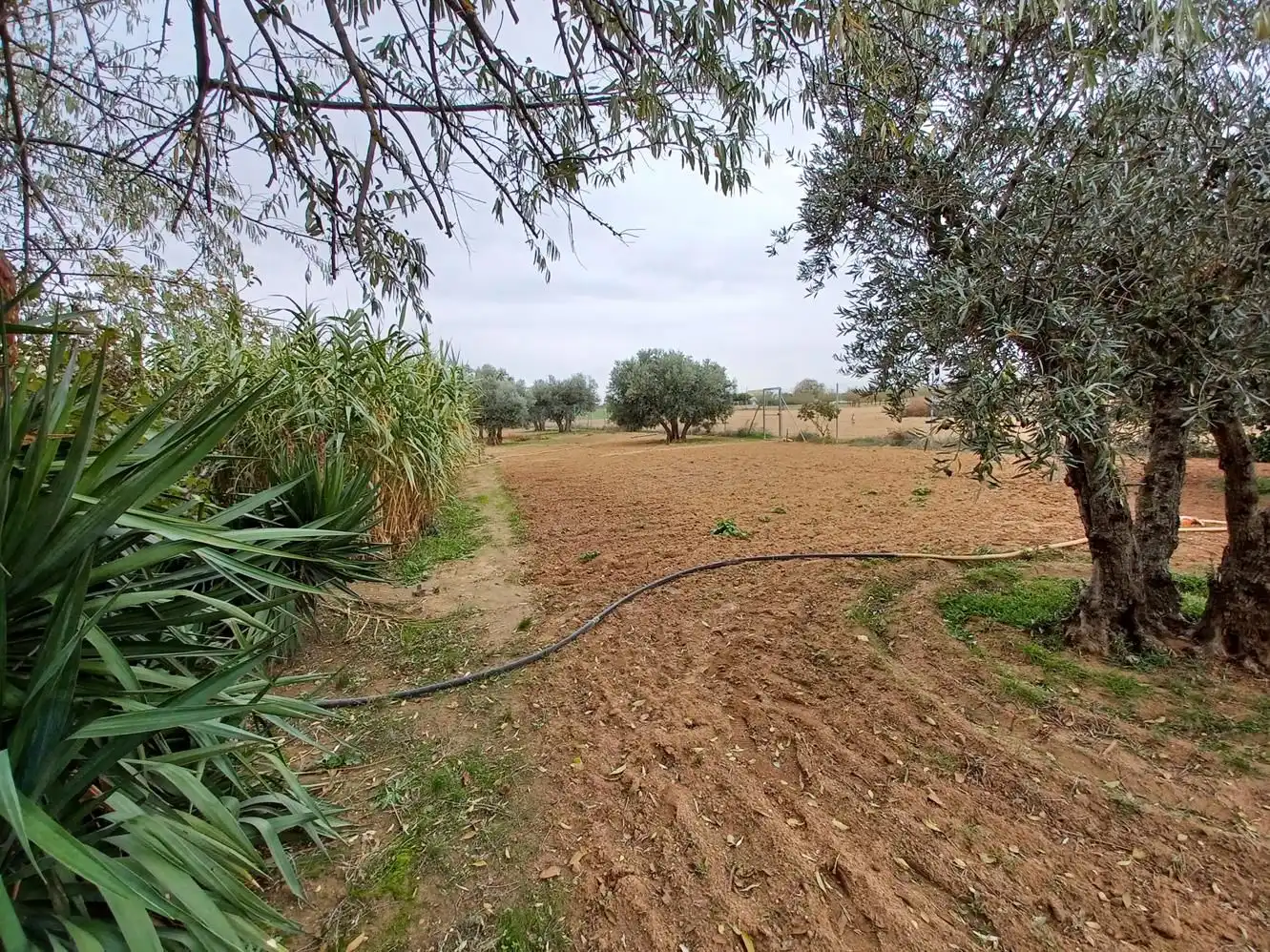 Casa rústica amb jardí en venda a La Roda, imagen 16