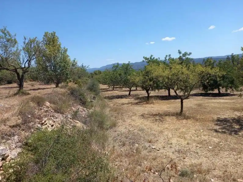 Terreno rustico in vendita a Partida Mas de Tarra, imagen 7