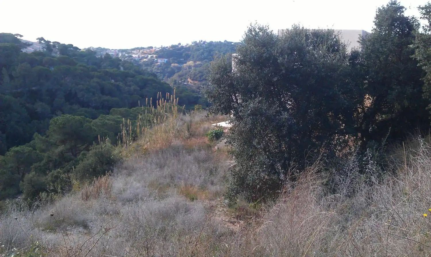 Terrenos y solares en venta en Serra Brava, imagen 5