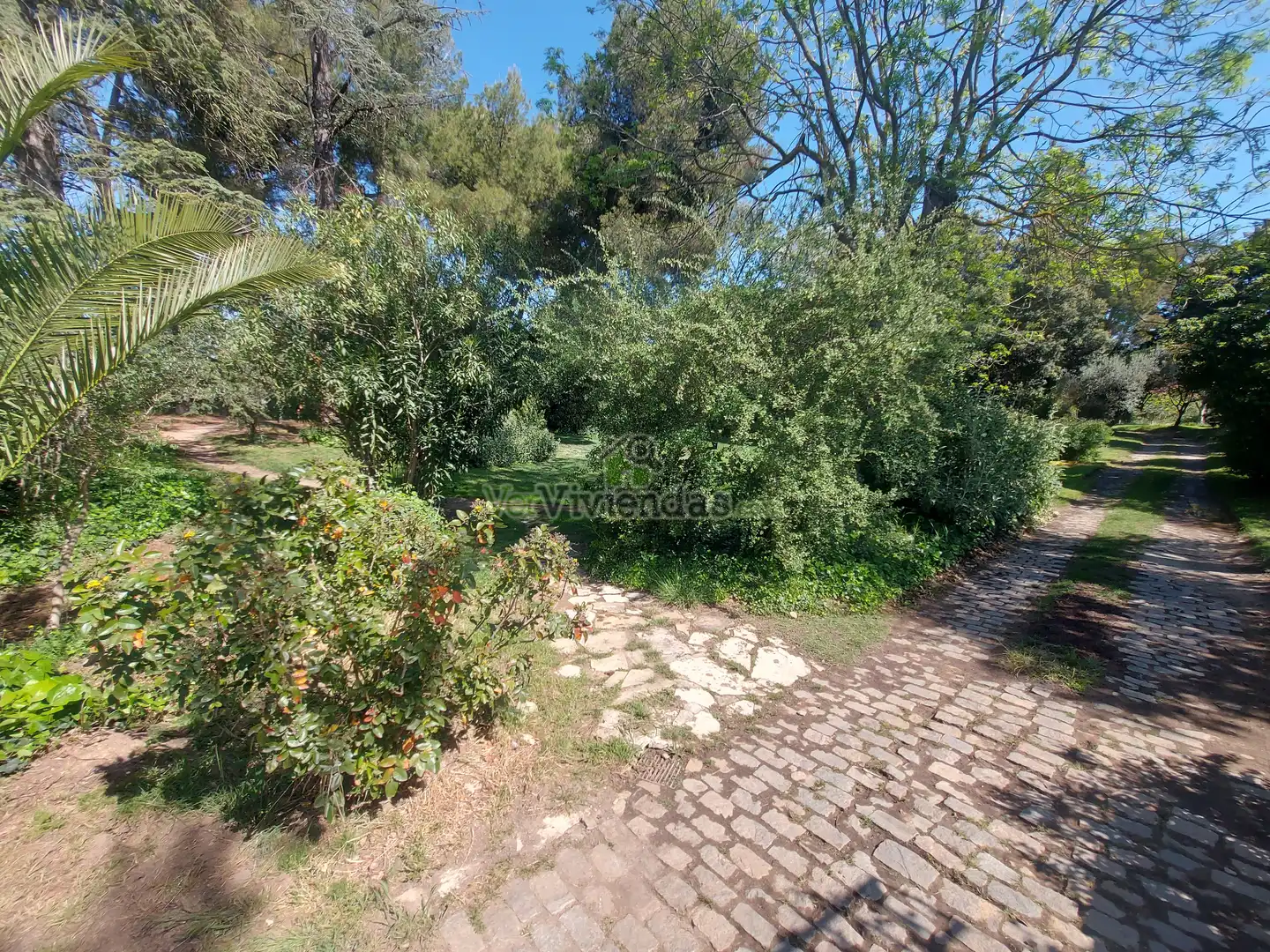 Casa o xalet en venda en Piera amb Jardí privat, Terrassa i Piscina