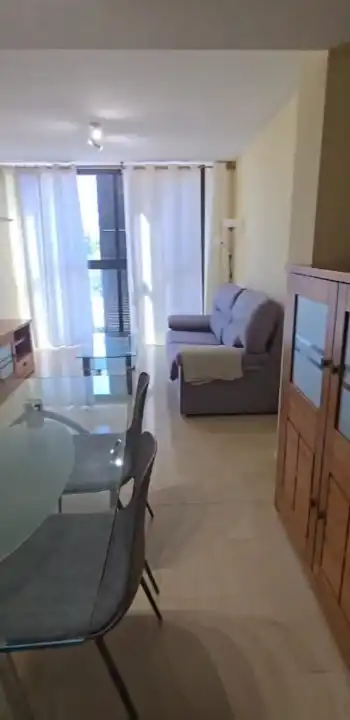 Sala d'estar de Apartament de lloguer en Alfara del Patriarca amb Jardí privat, Moblat i Forn