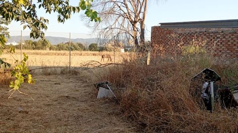 Terreno de 838 m2 en Camino Carbonell | 69.500€, imatge 3