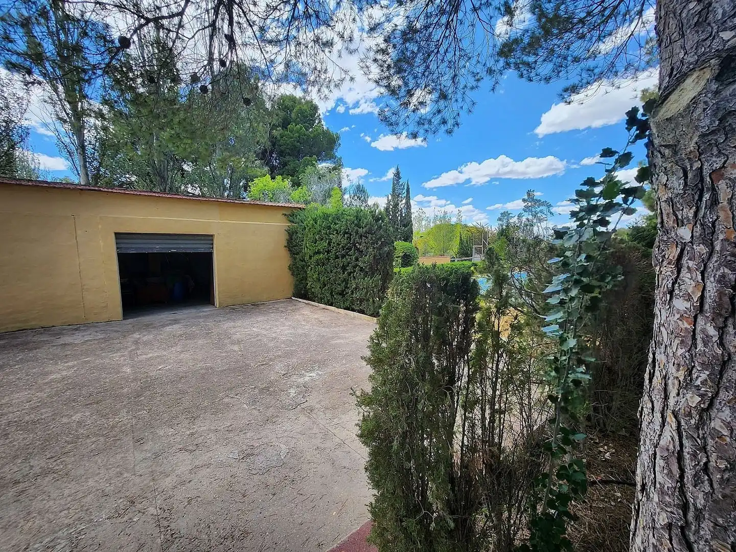 Casa en venta en Sax, imagen 5