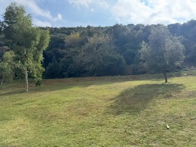 Wohnbaugrundstück zum Verkauf in Antonio Torrent I Martori, S/N, imagen 14