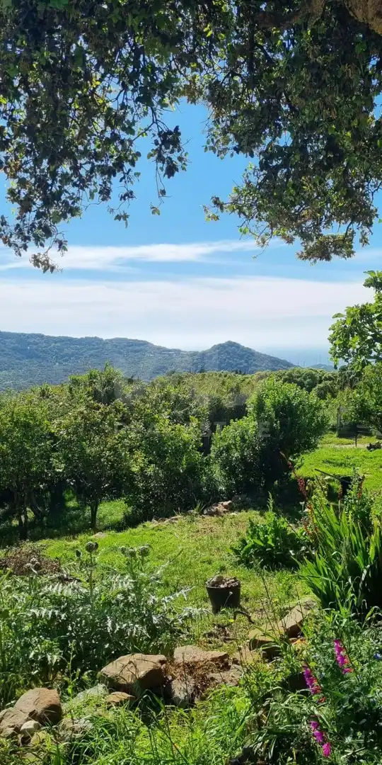 Houses for sale in Tarifa  with Heating and Terrace