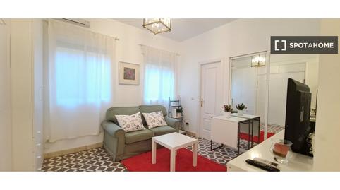 Photo 2 of Study to share in Fuente del Berro, Madrid