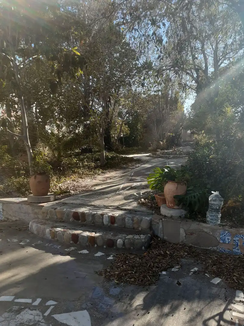 Vista exterior de Casa o xalet en venda en Almazora / Almassora amb Jardí privat, Terrassa i Moblat