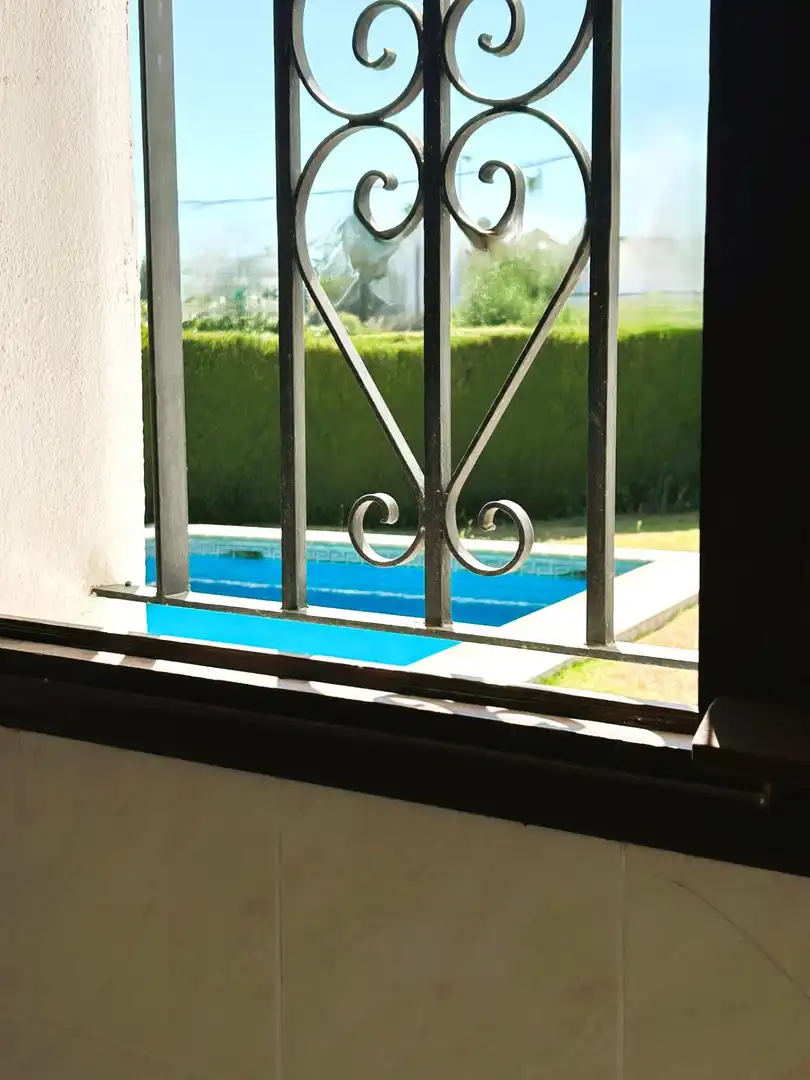 Piscina de Finca rústica en venda en Estepona amb Jardí privat, Terrassa i Piscina