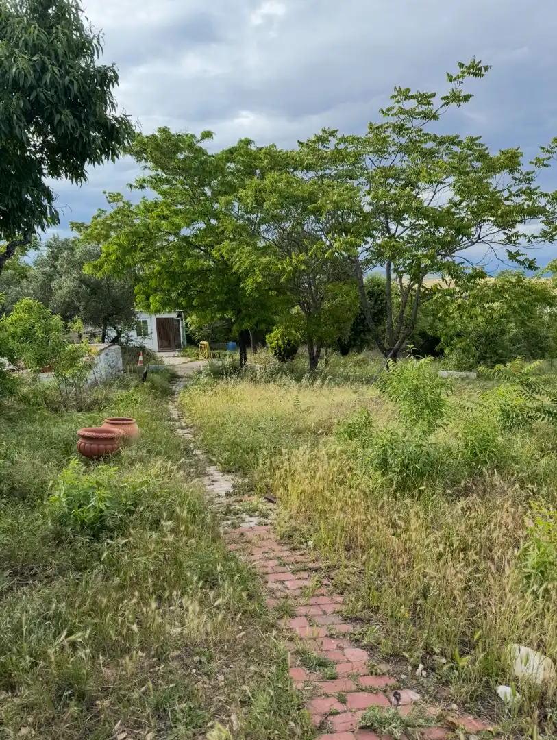 Finca rústica en venta en El Molar (Madrid) con Jardín privado, Terraza y Trastero