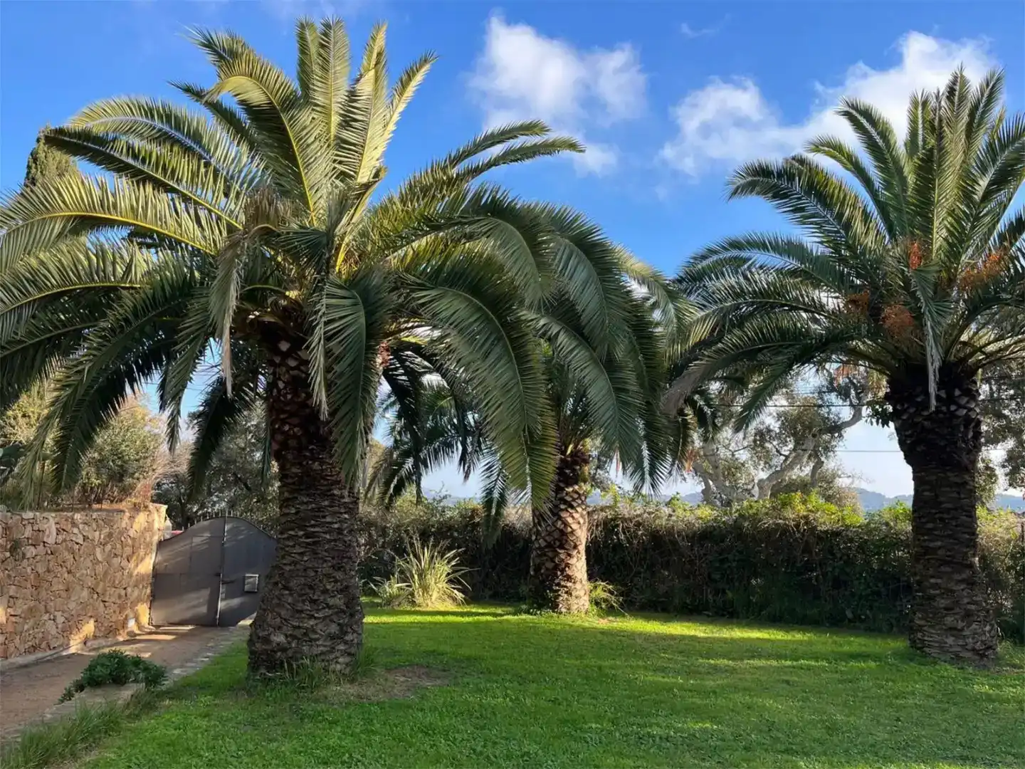 Jardí de Finca rústica en venda en Mont-ras amb Balcó