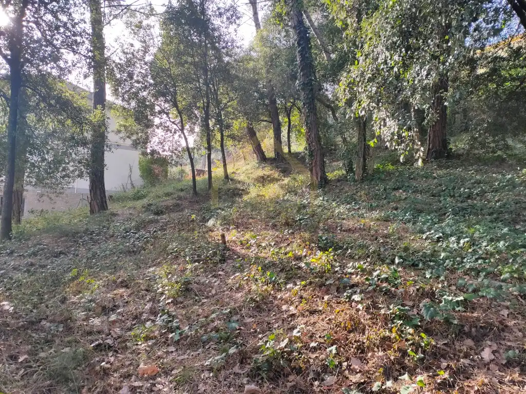 Residential for rent in Sant Pere de Vilamajor