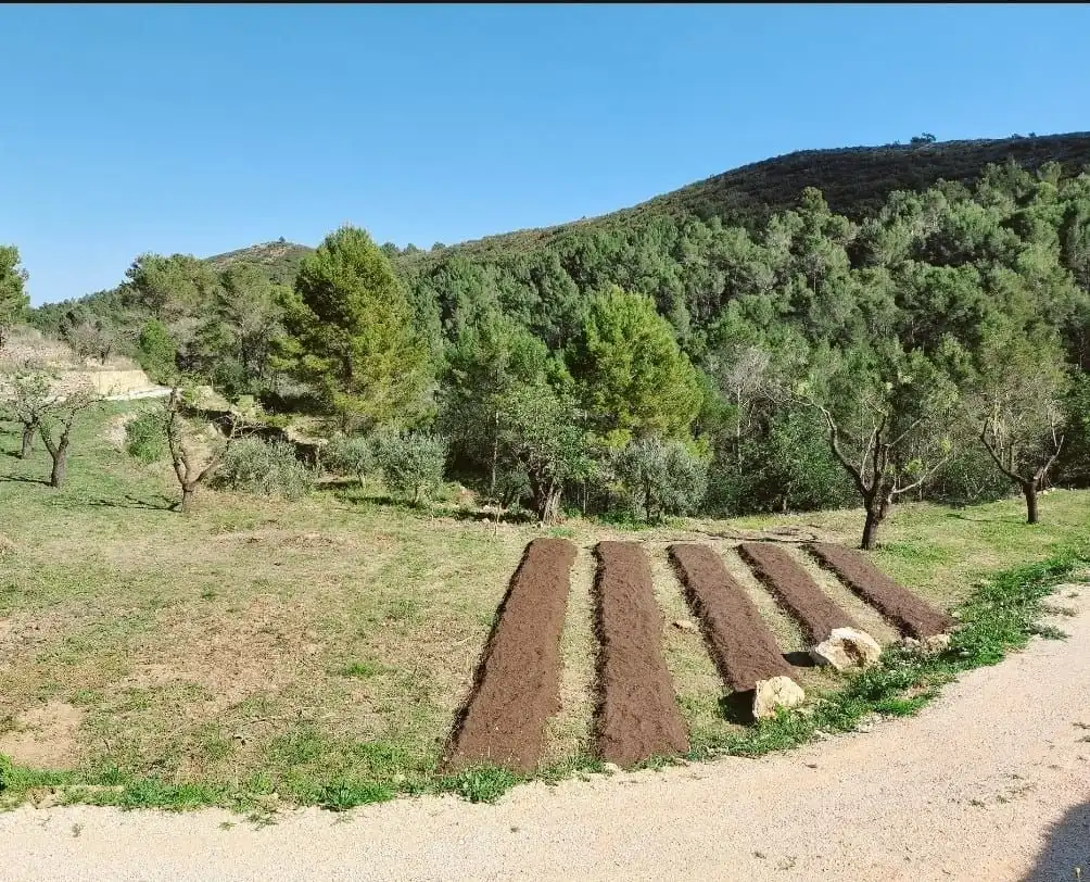Terrenys i solars en venda a Xaló, imagen 12