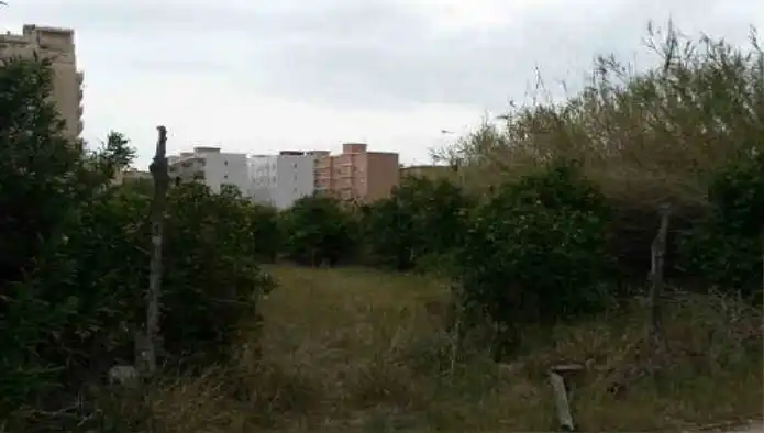 Rural land for sale in Av Nord, imagen 7
