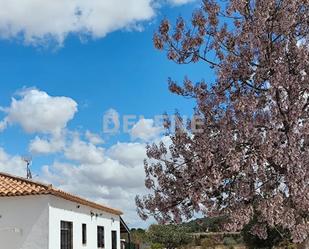 Exterior view of Country house for sale in Tobarra  with Heating and Terrace