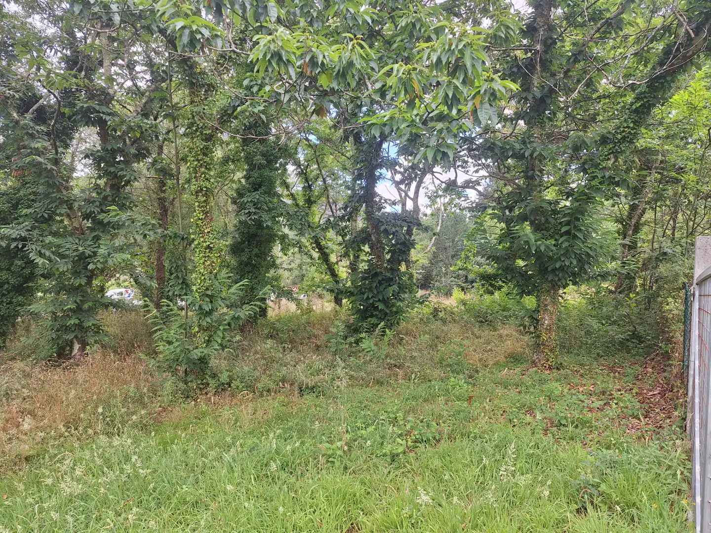 Grundstücke zur Miete in Culleredo